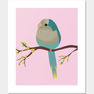 Cute egg shaped blue quaker parrot or monk parakeet Posters and Art